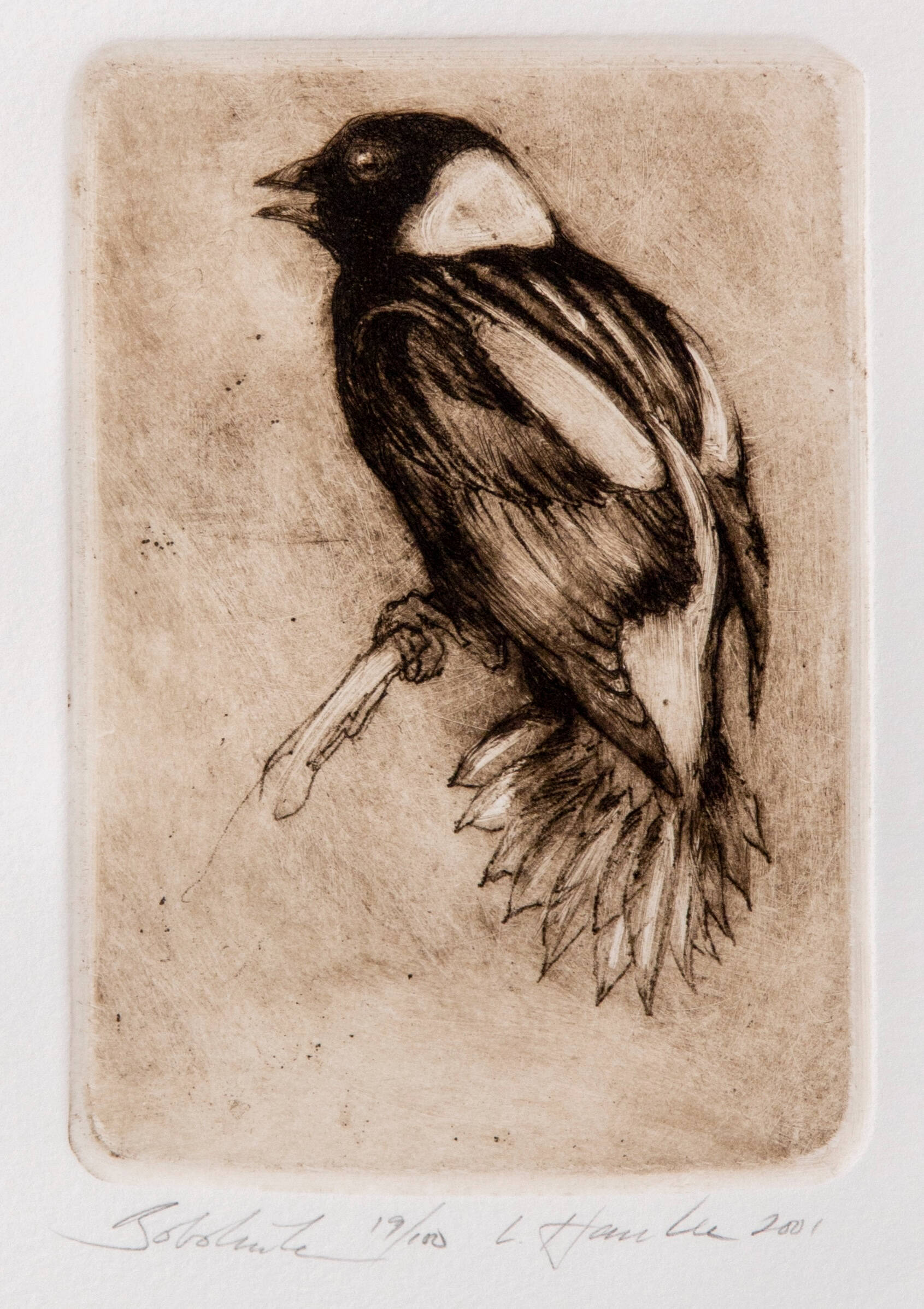 Etching of a bird on a stick.